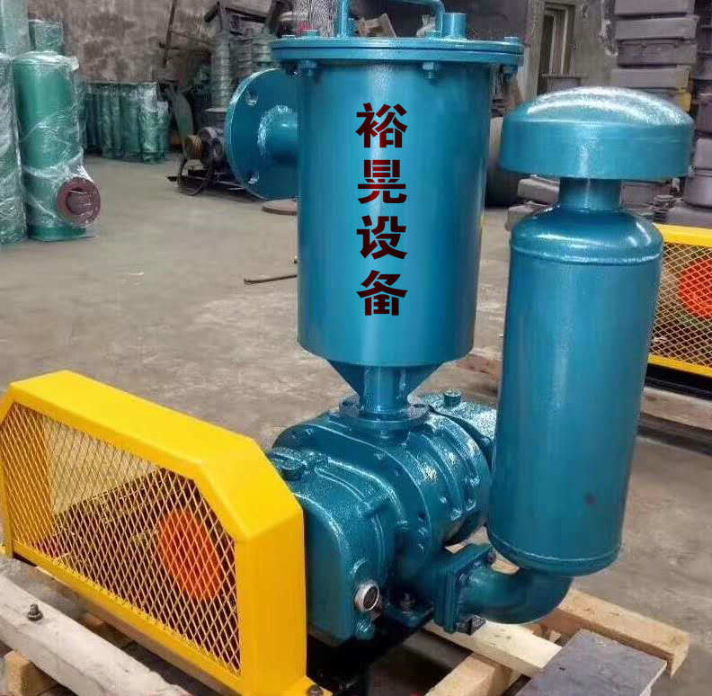 定制型負壓羅茨真空泵